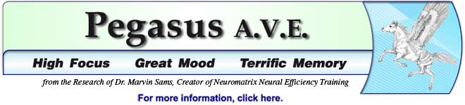 Pegaus A.V.E.